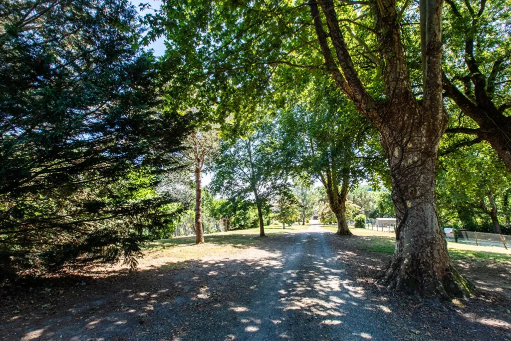 Photo du bien refV-1-1291