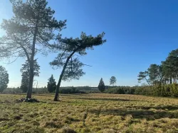 Photo du bien