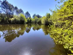 Photo du bien
