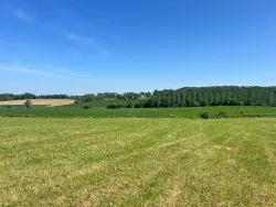 Photo du bien