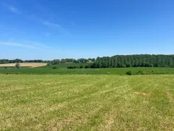 Photo du bien