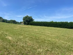 Photo du bien