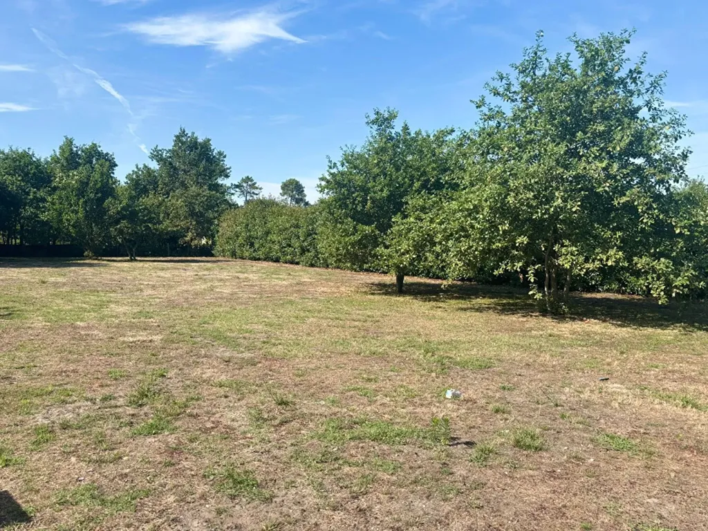 Photo du bien refVL368