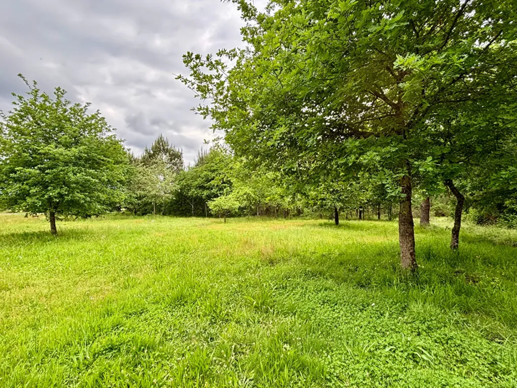 Photo du bien refV-6-1166