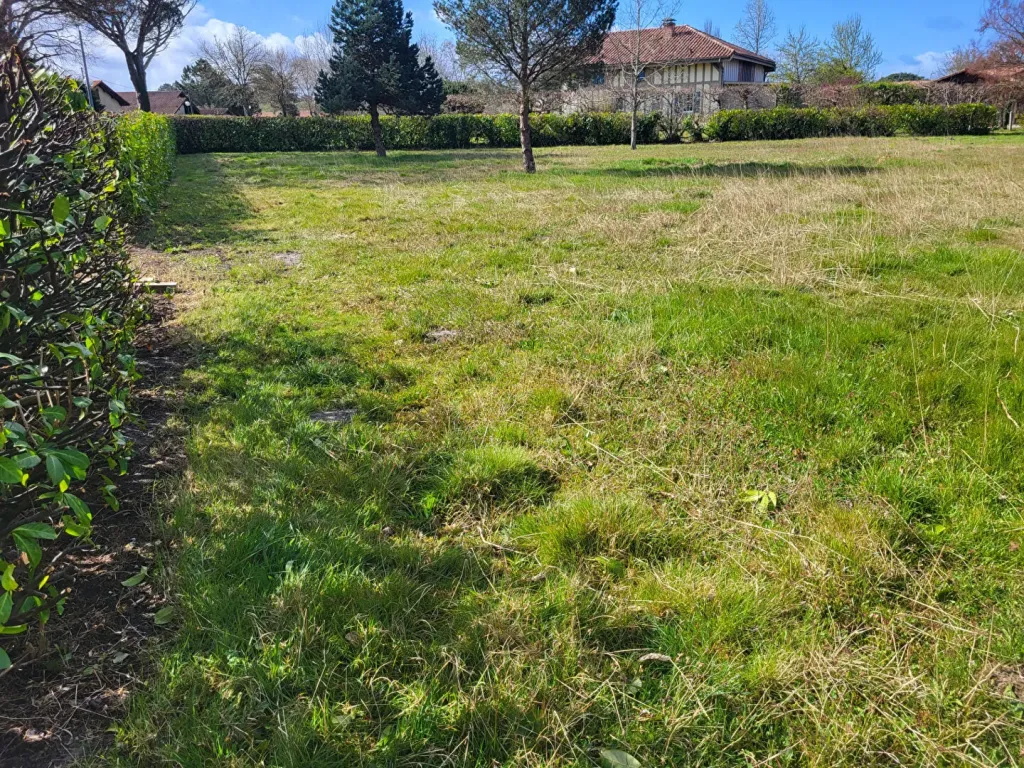 Photo du bien ref133